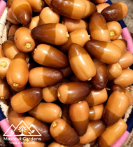 فرض أبيض