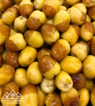⁦نبتة سيف⁩ - الصورة ⁦4⁩