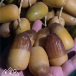 الماسة