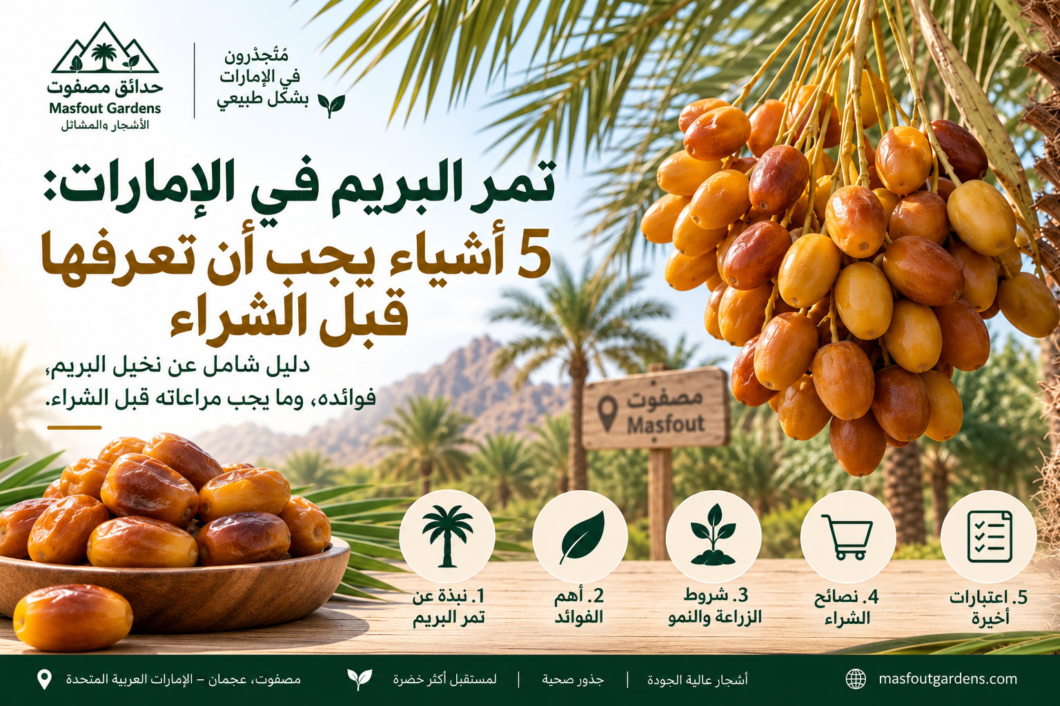 Breem Dates UAE