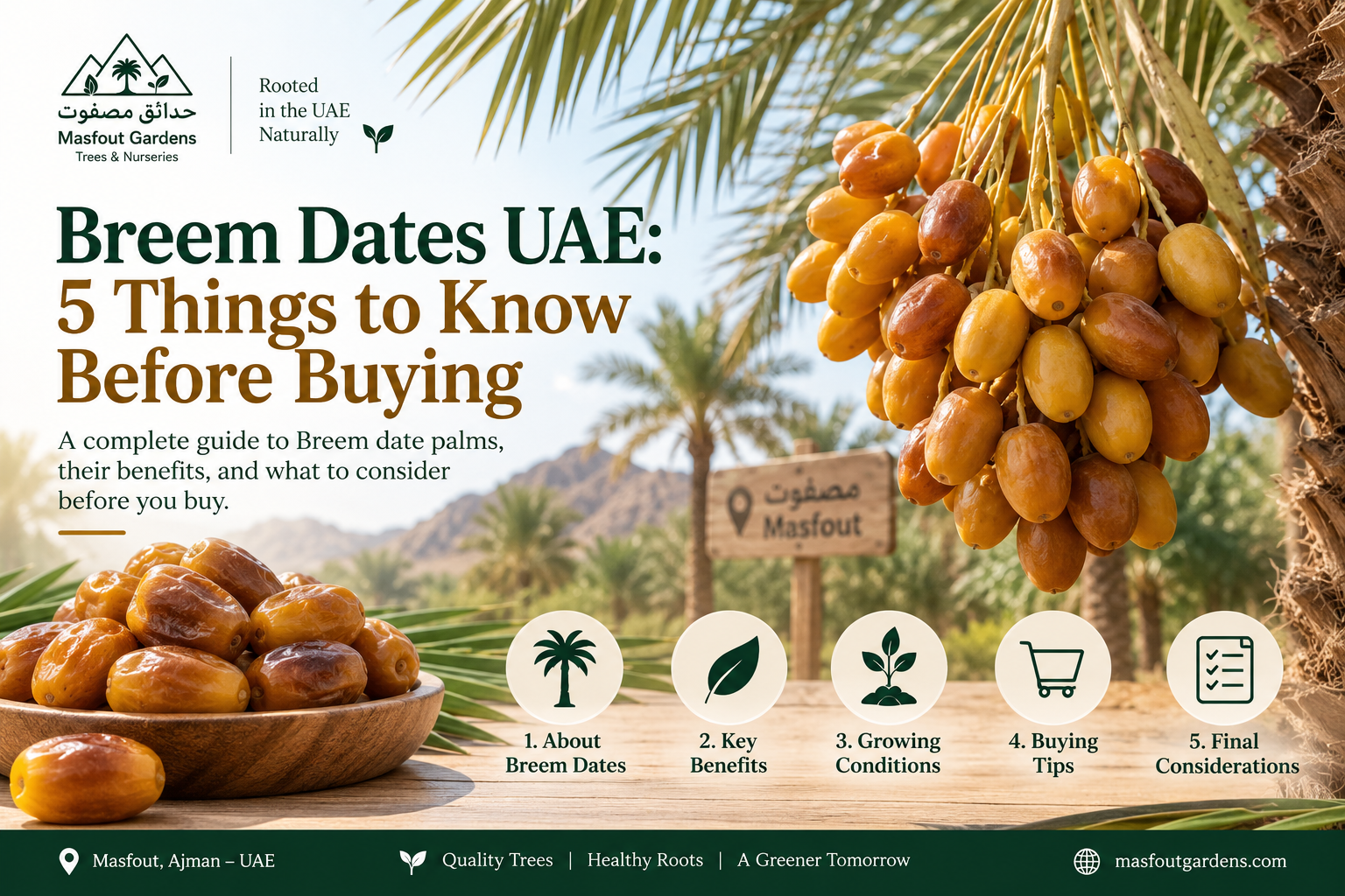 Breem Dates UAE
